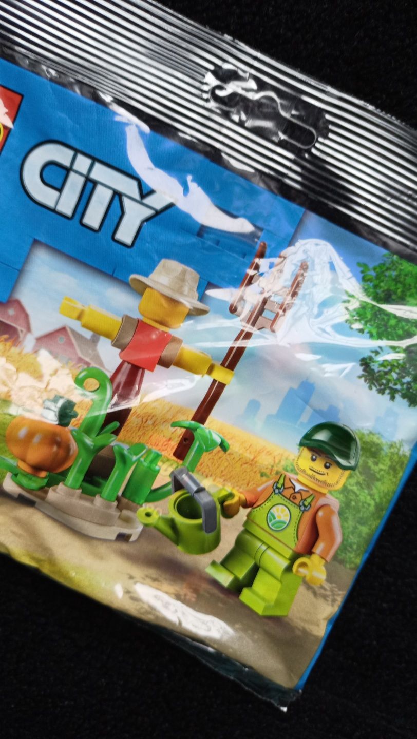 Klocki LEGO City 30590 - Ogród na farmie i strach na wróble