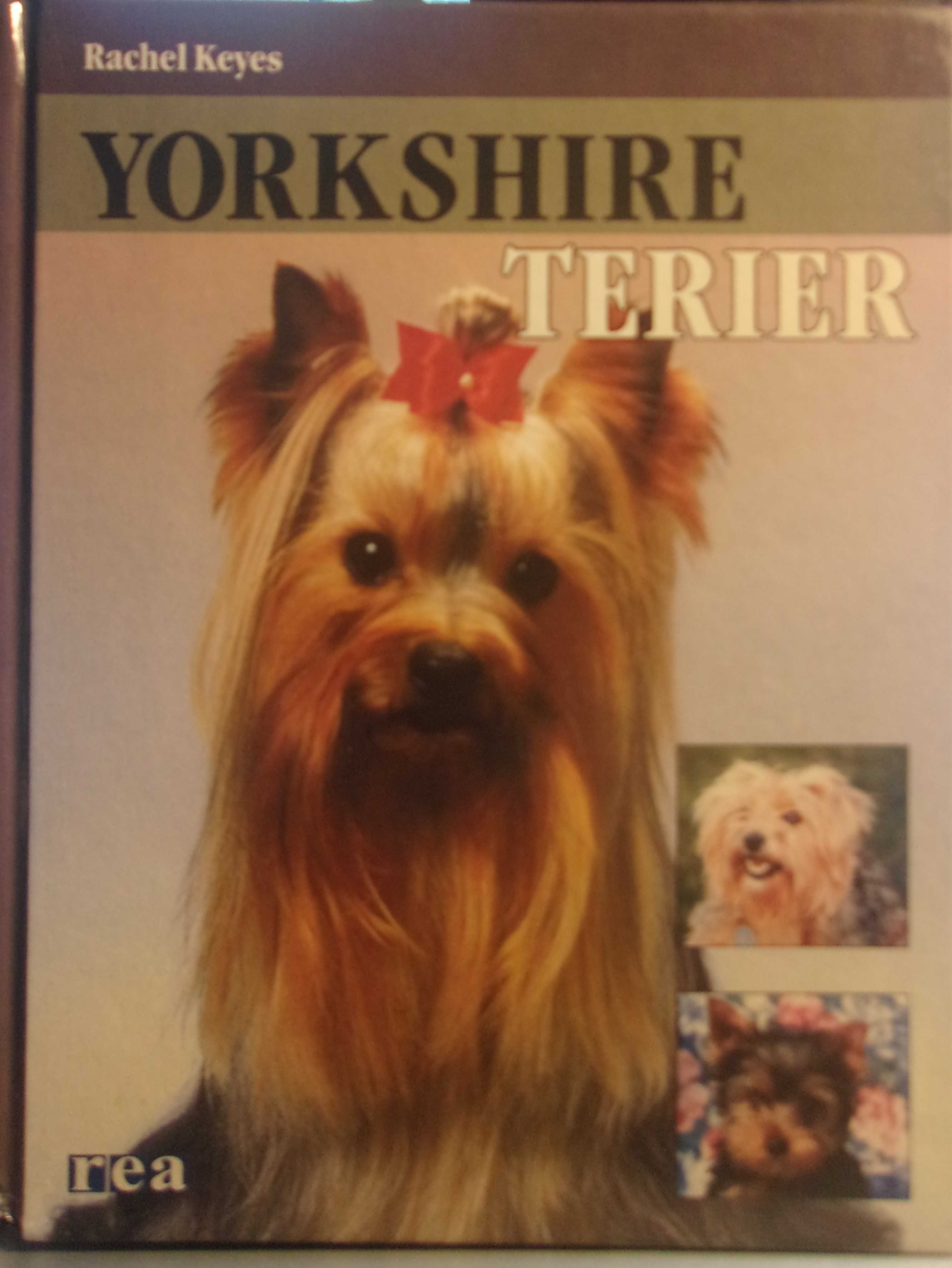 Yorkshire terier - Rachel Keys - książka 174 str. / spis treści