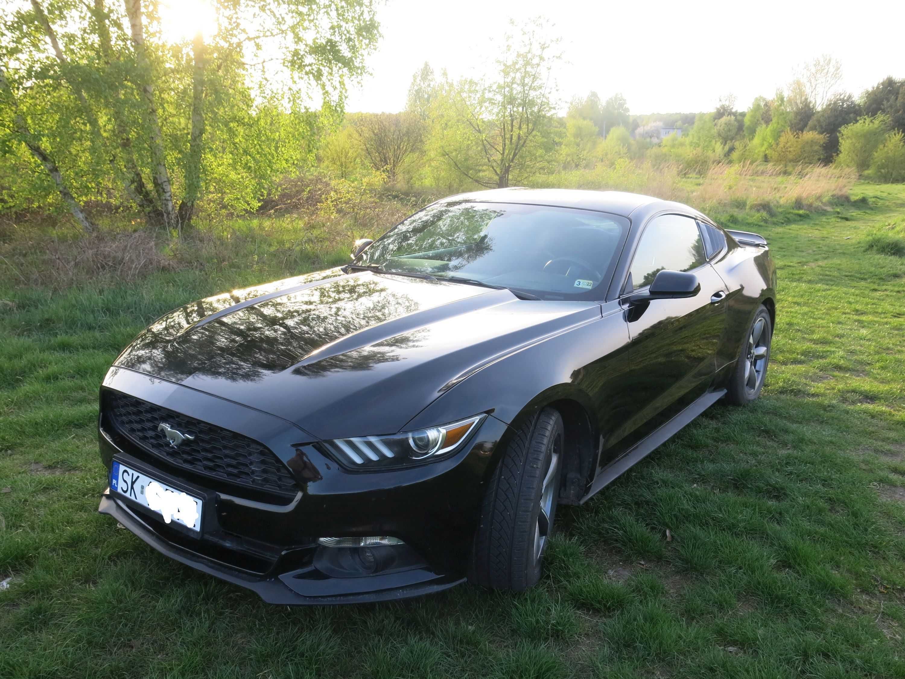 Mustang 3.7 2016r .Manual