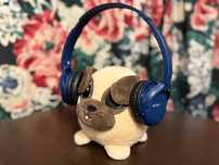 SONY WH-CH 510 Niebieskie