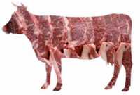 Знижка ! Свіжа дата‼️Тушонка  яловича 75 грн ‼️ курка свинина яло