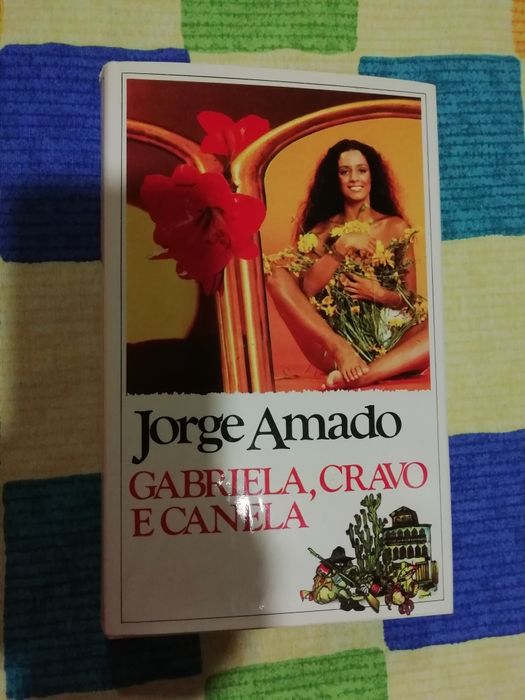 Livros diversos em bom estado