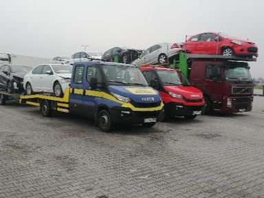 Transport Aut Maszyn Polska Niemcy Belgia Holandia Laweta