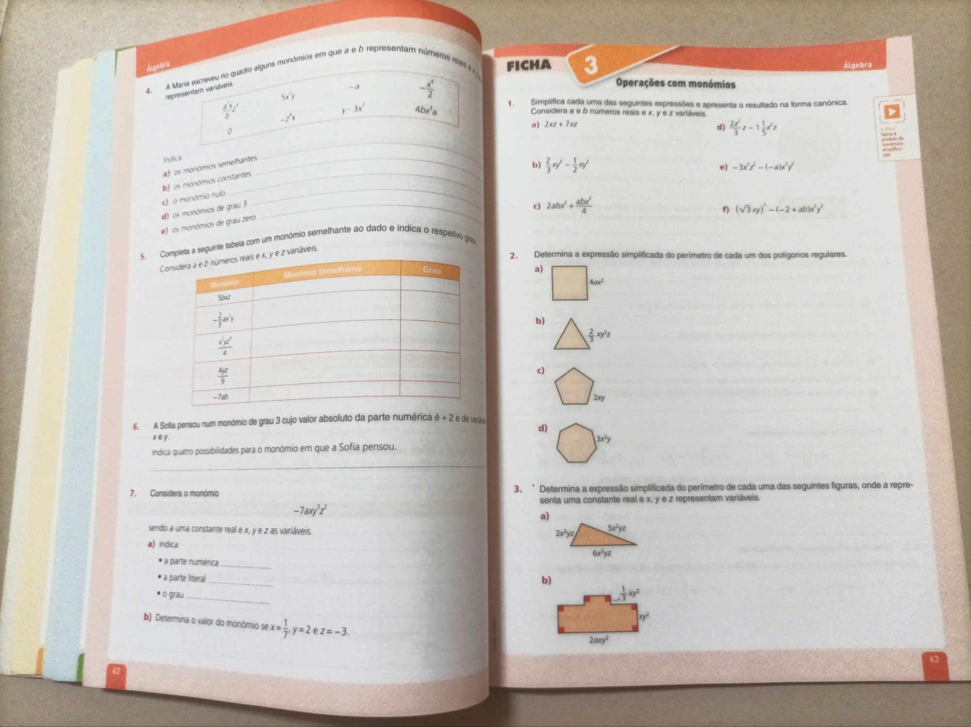 Fichas de Revisão - Matemática 8° Ano - Manual Auxiliar