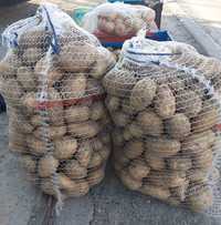 Sprzedam ziemniaki sadzeniaki odmiana vinieta