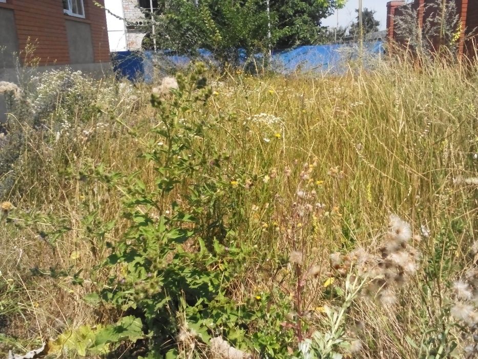 Покос травы , ПосКот,Фонтанка и окрестности.Покосить траву