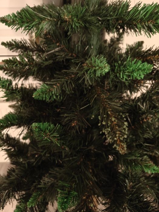 Choinka na pniu 160cm