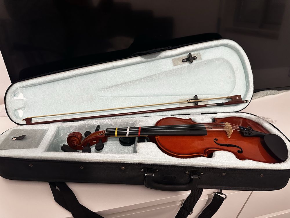 Violino novo 75€