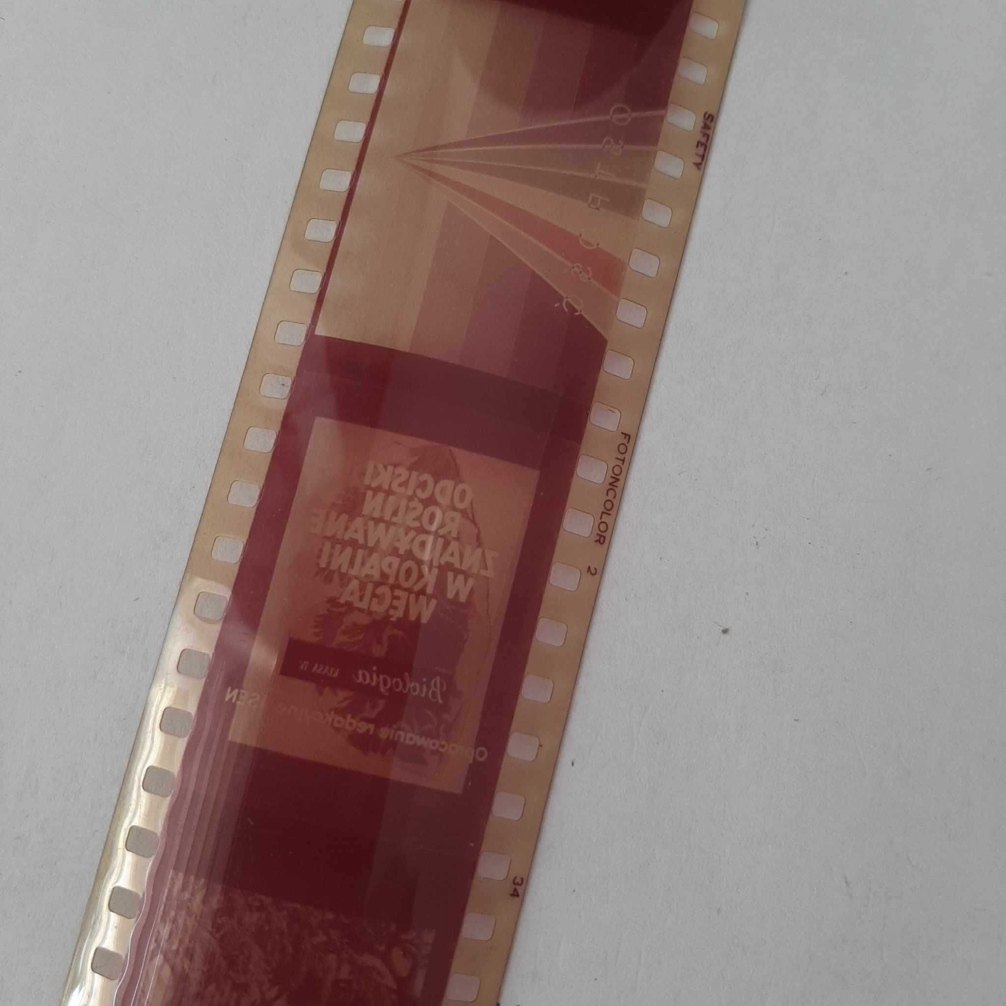 Filmy na rzutnik Ania Rośliny,  szkodniki  szt.6