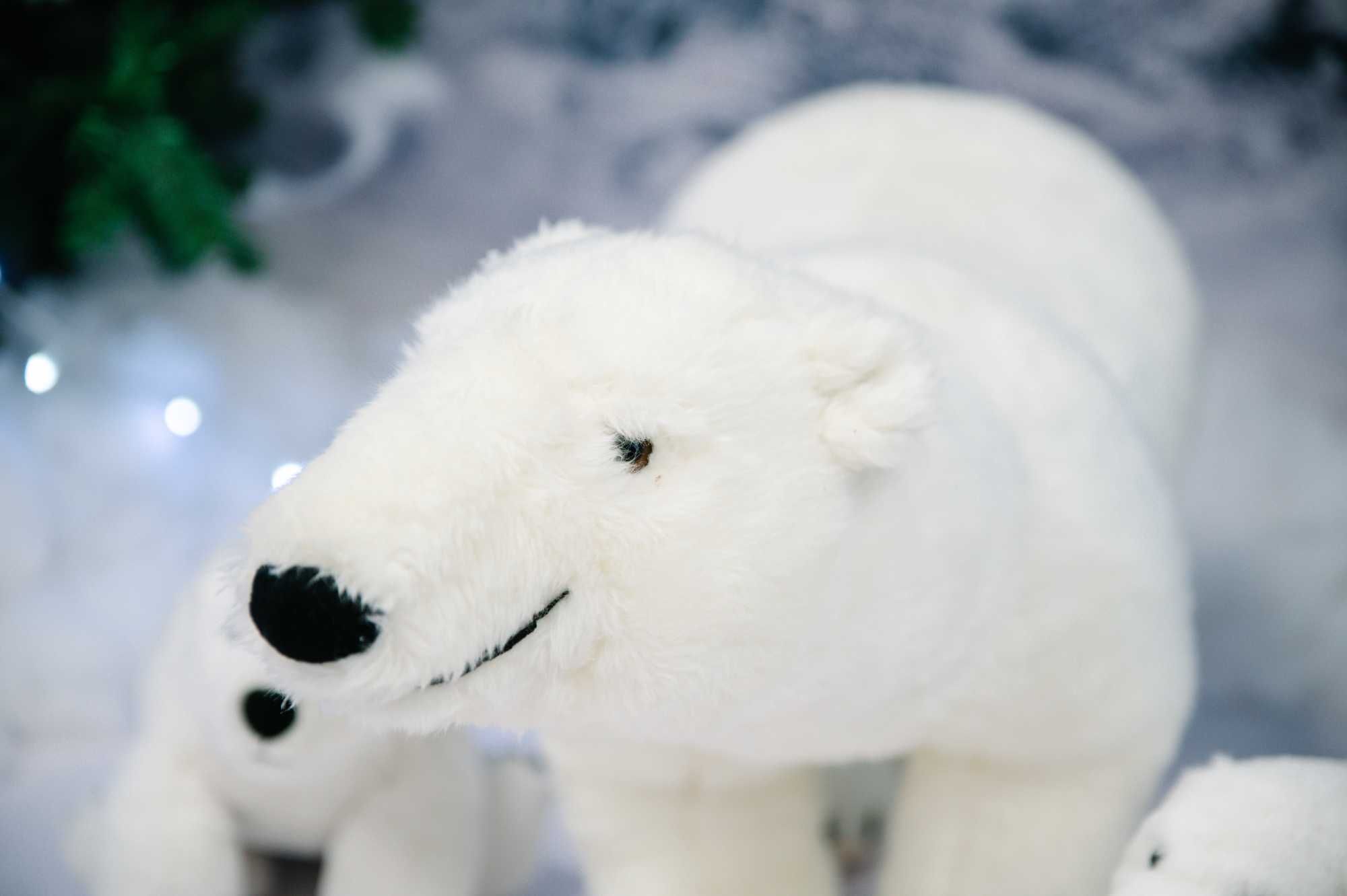 Ursos polares peluche - 86 cm x 51 cm