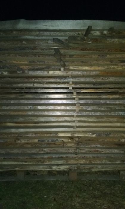 Drewno sezonowane tarcica powietrzno sucha drzewo brzoza