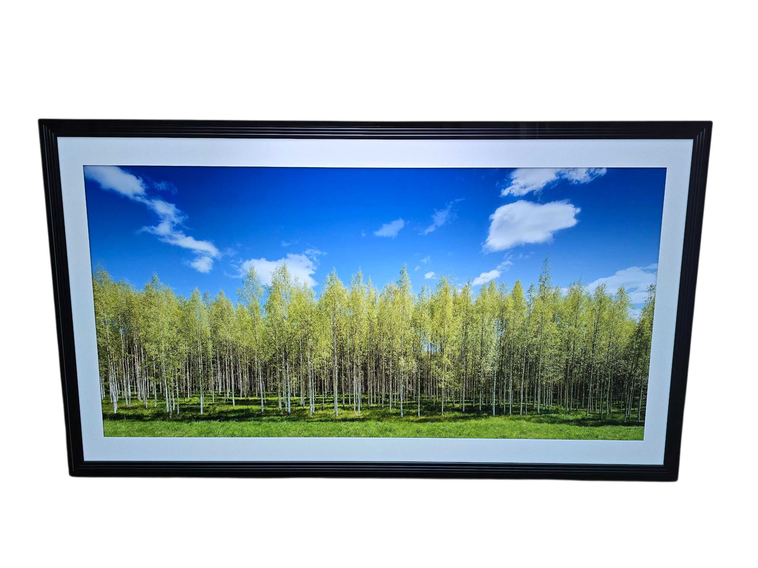 Telewizor LG OLED55CX3LA