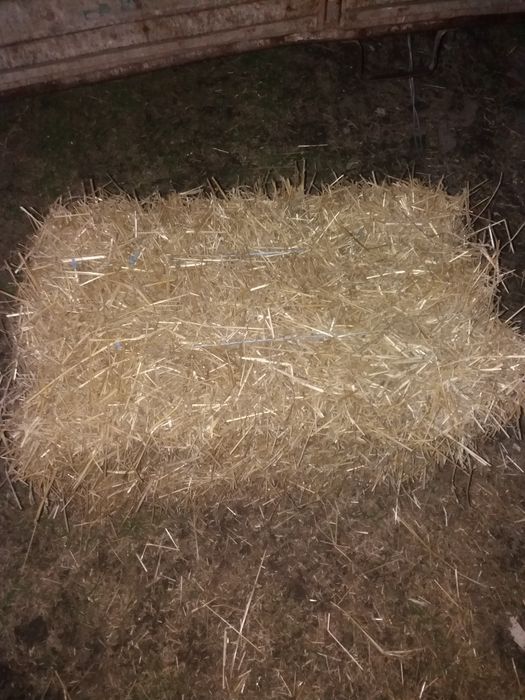 Продам солому в тюках
