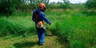 Косіння трави, обрізка дерев та кущів, обробка рослин, різноробочі