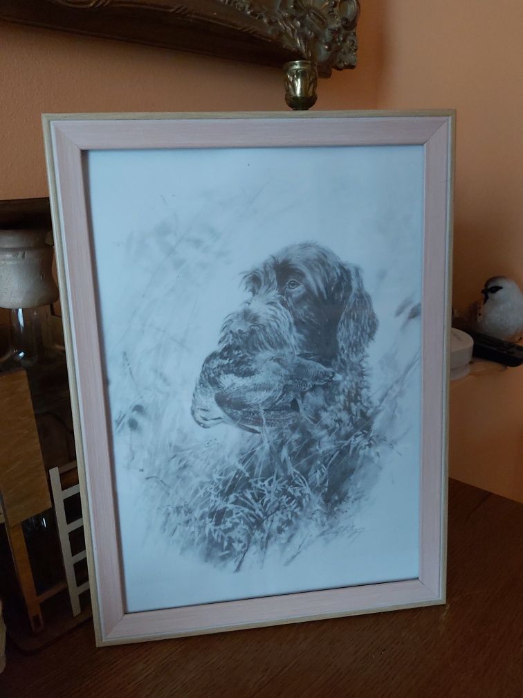 Grafika myśliwska łowiecka polowanie Wyżeł niemiecki szorstkowłosy A4
