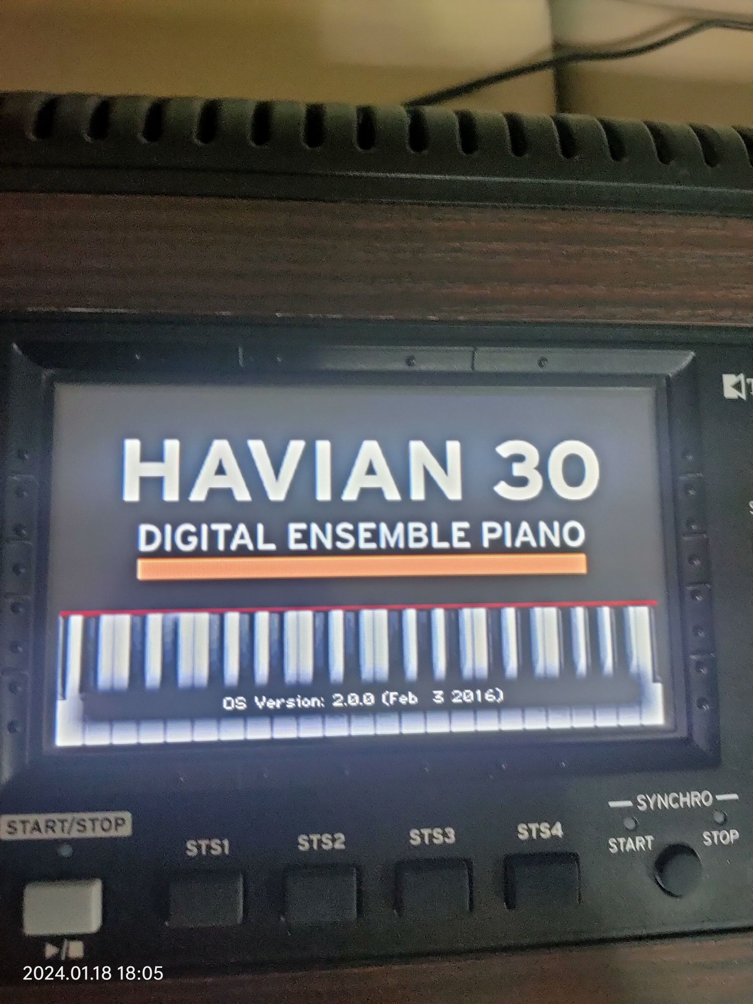 ...Korg Havian 30  88...