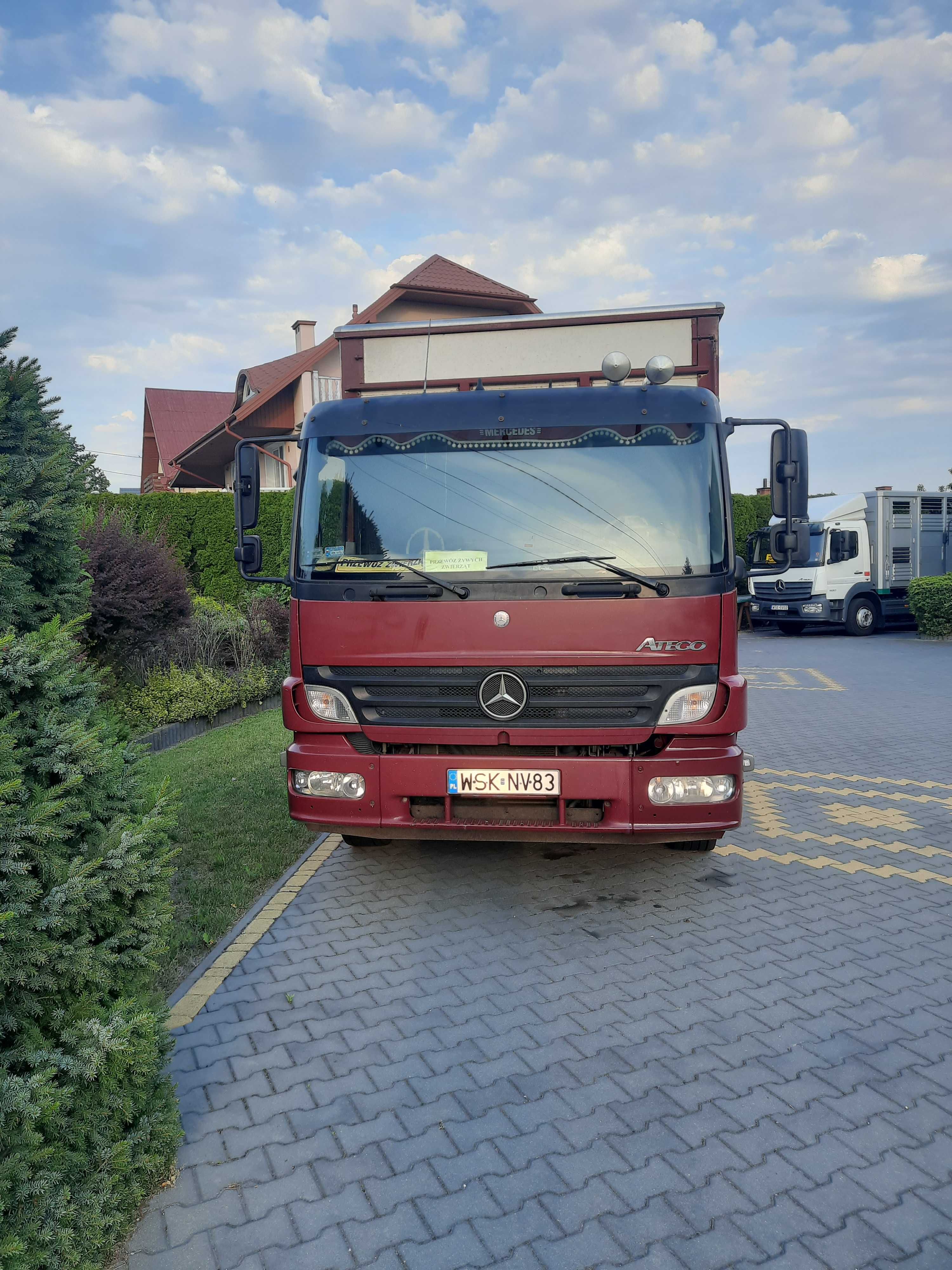 Mercedes Benz do przewozu zwierząt