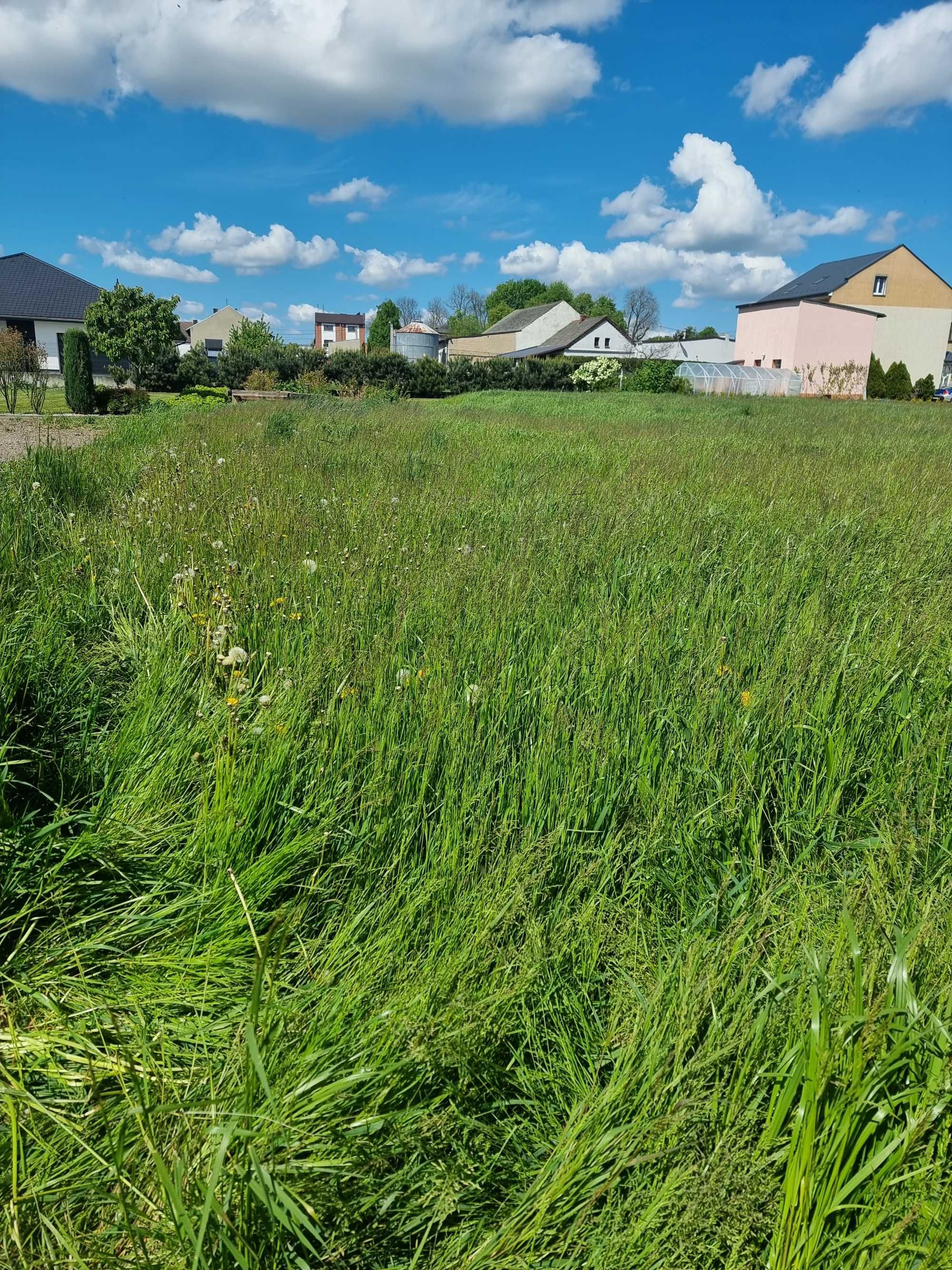 Działka budowlana - Racibórz Studzienna