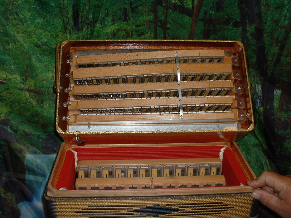 Acordeão Avenda G, .551