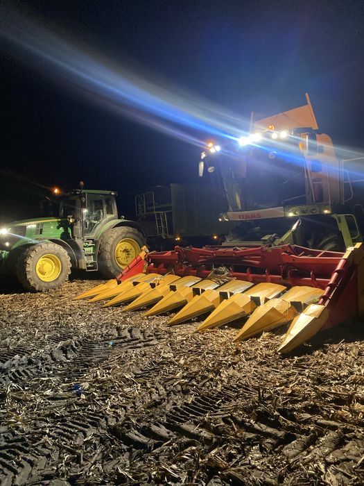 Koszenie kukurydzy claas lexion 750 4x4, lexion 770Tt