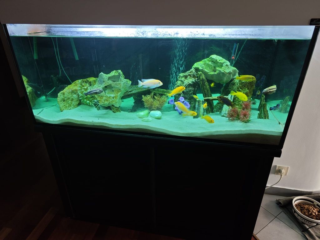 Akwarium 300 l  + akwarium kostka