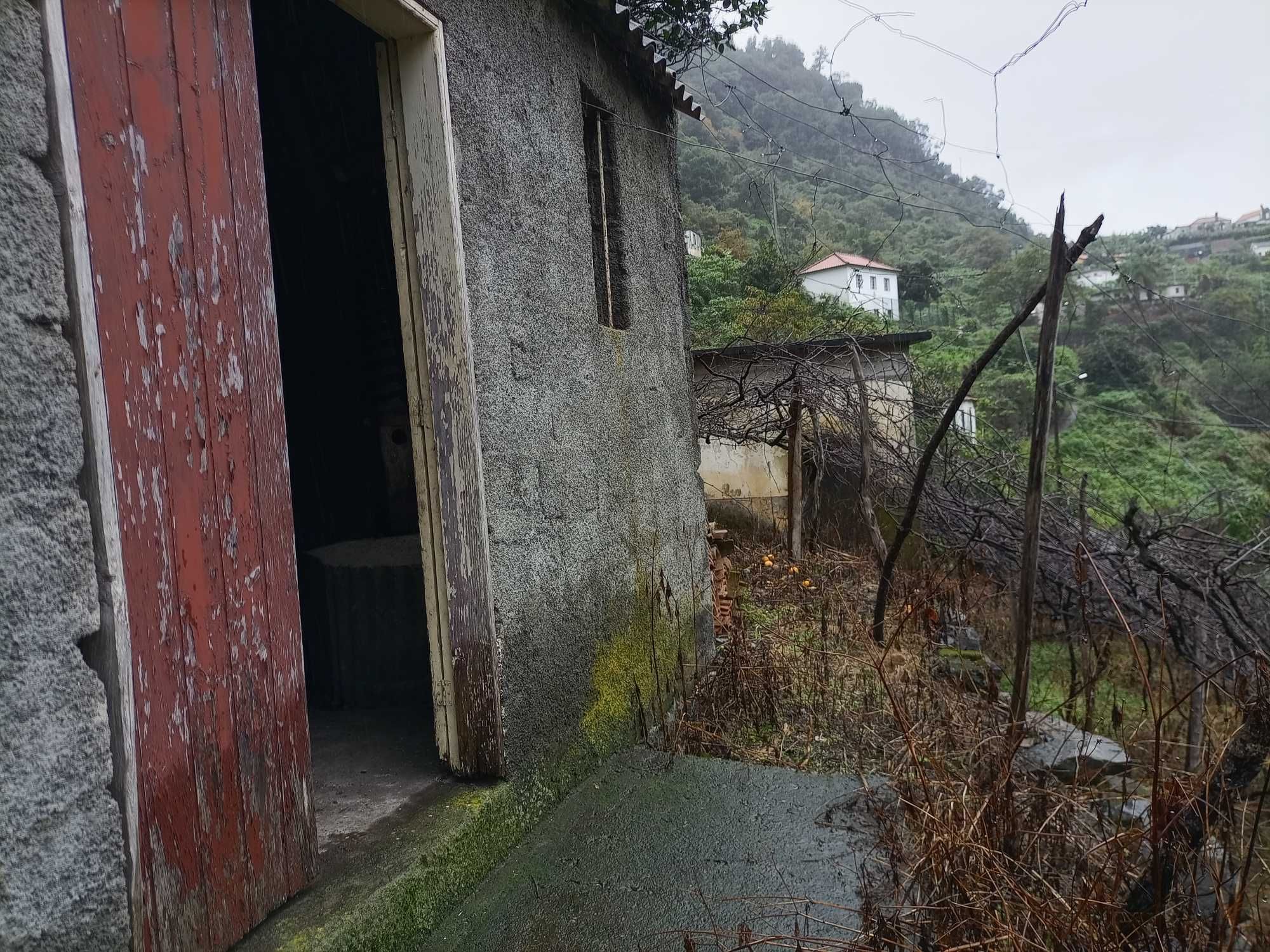 Prédio com construção rural e lagar em São Jorge - Santana