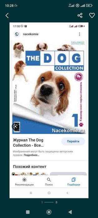 The Dog Collection
