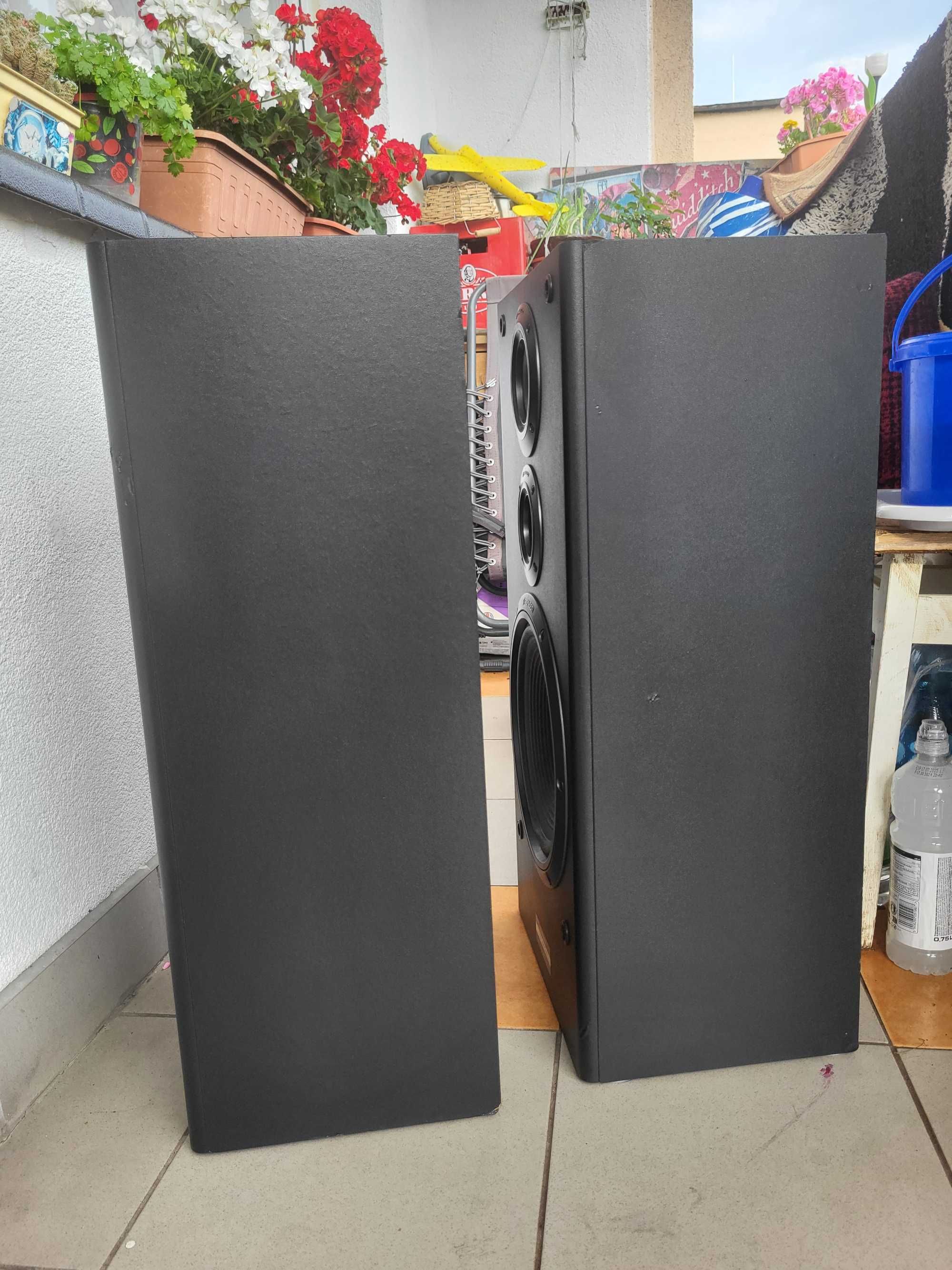 Kolumny Pioneer CS 997 Altus 110