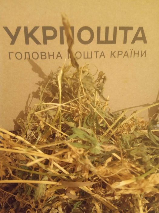 Сено люцерны свежее от БоссаОгорода + вкусняшки для домажних животных