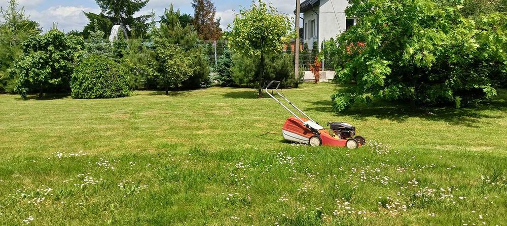 Usługi ogrodnicze wynajem maszyn ogrodniczych