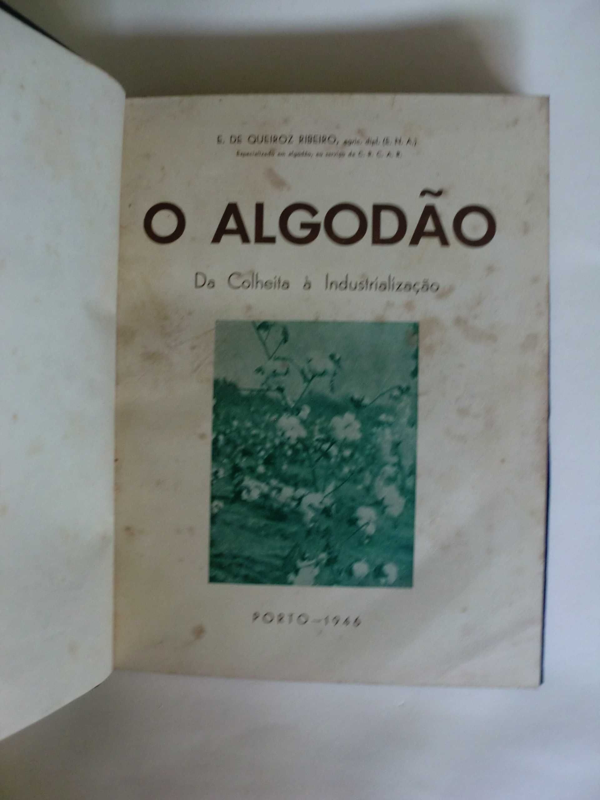 O Algodão : da Colheita à Industrialização 
de E. de Queiroz Ribeiro