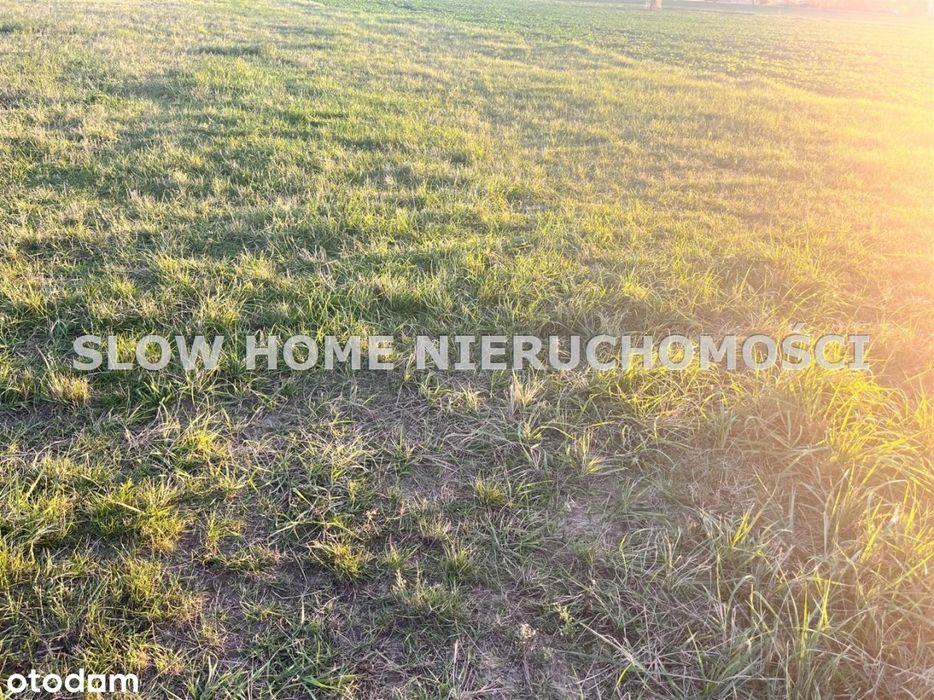 Do 90 % zabudowy ! Pod Magazyn, produkcję itp.