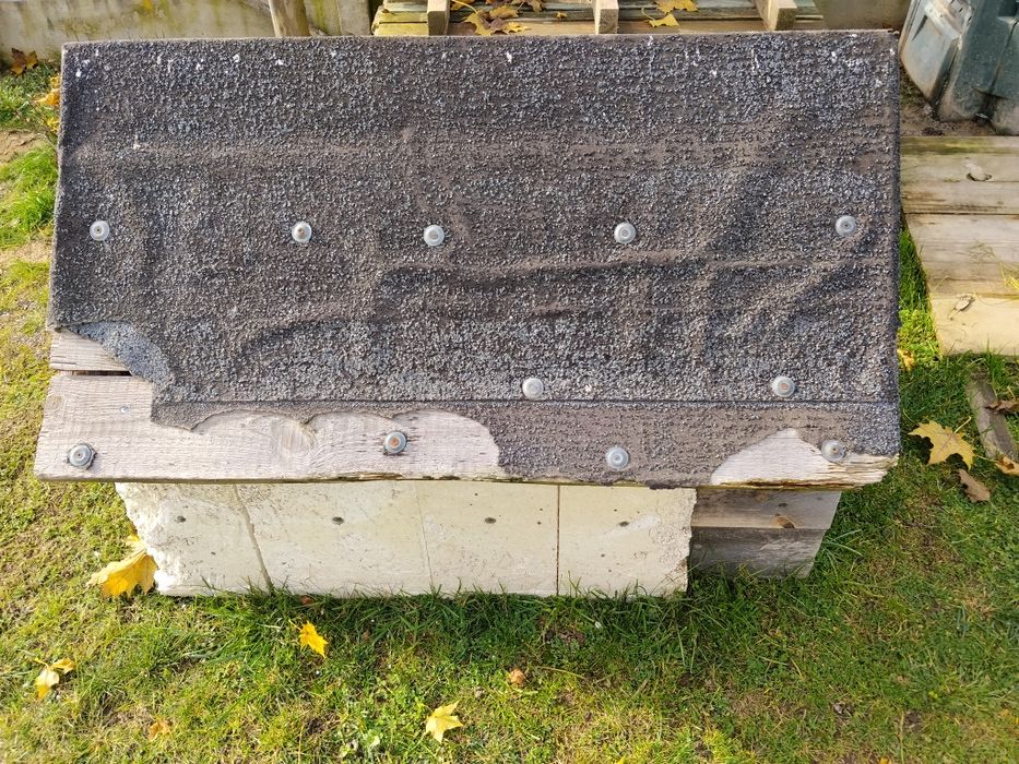 Buda dla psa za darmo