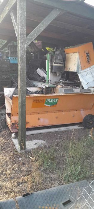 Doniczkarka Mayer  10000 zł do negocjacji