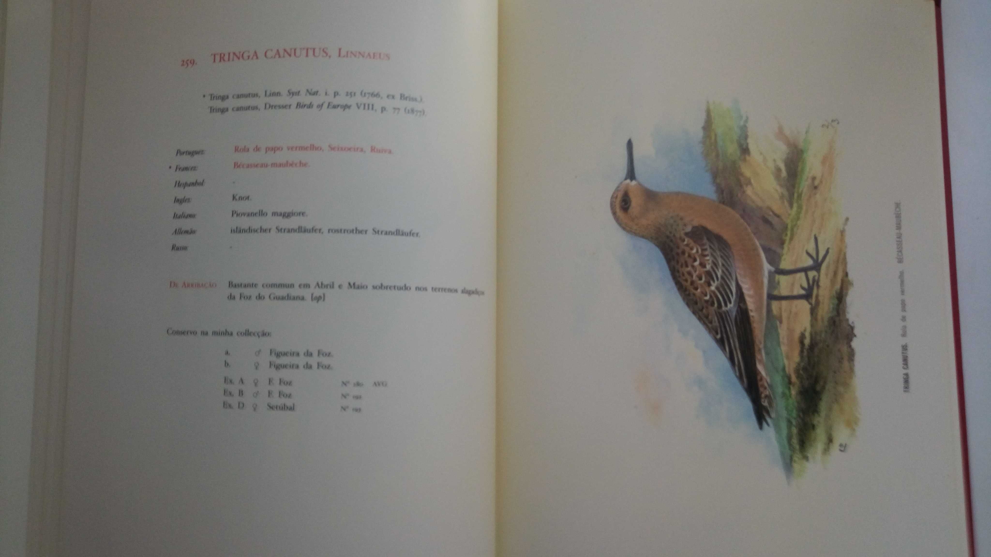 Aves de Portugal de D. Carlos de Bragança