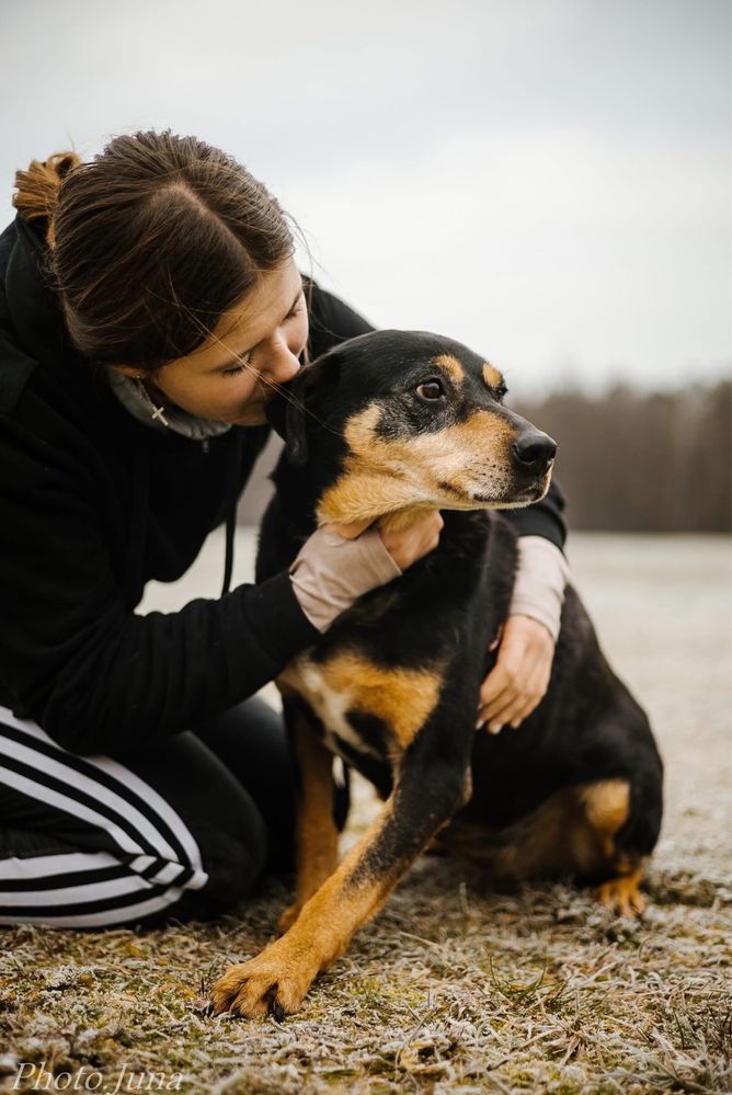 Kora-suczka która nigdy nie miala domu bardzo o niego prosi-adoptuj