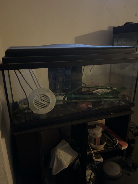 ULTIMO FIM-SEMANA - Aquario com movel 81 x 42 cm e 110 cm altura