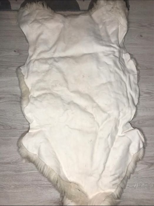 Skóra owcza w kolorze kremowym , dywan , ozdoba