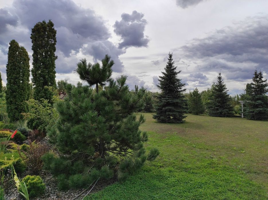 Продажа будинку на ділянці 1,5 га в Новосілках, озеро, Вишгородский