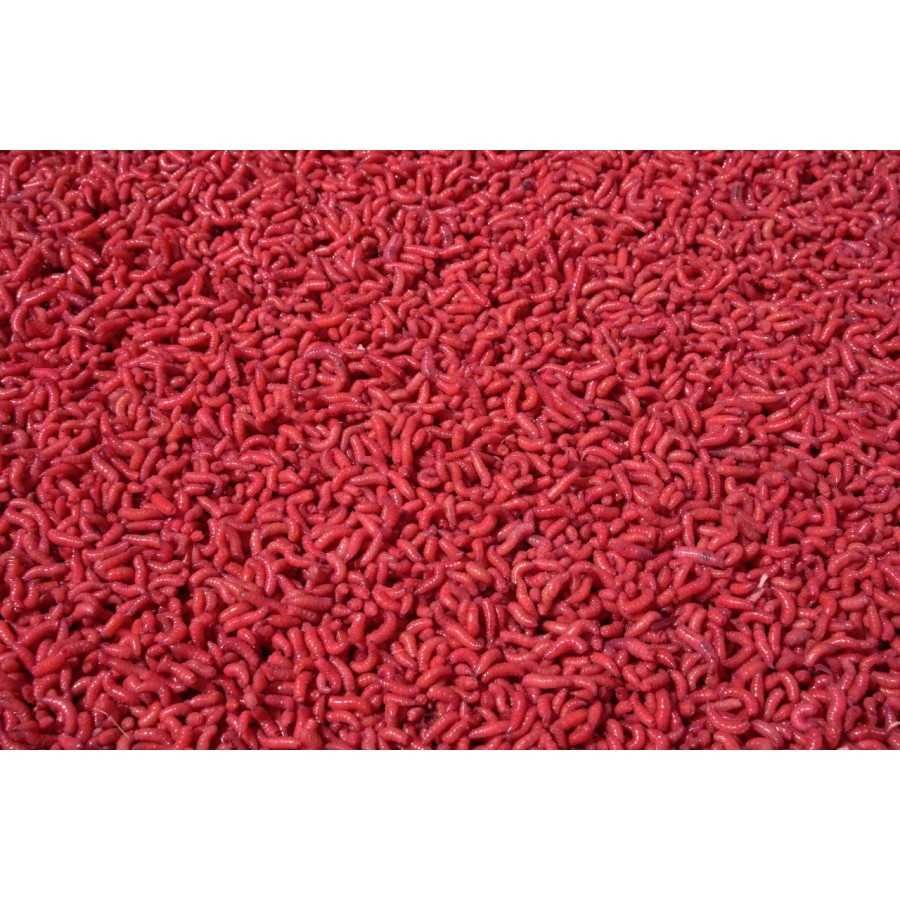 Zestaw Robaków Wędkarkich Kolorowych 6x100ml Fluo Rubin Mix