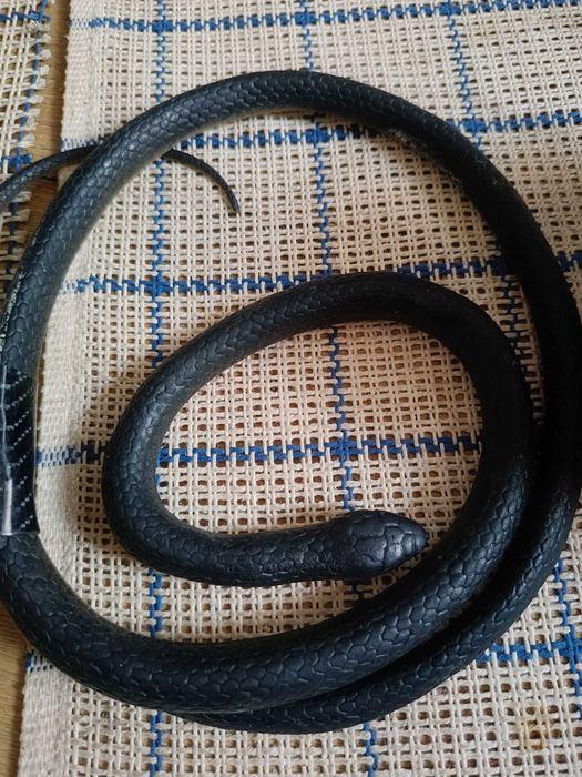 Zestaw na Helloween ! Czaszka skarbonka ,maska, żmija