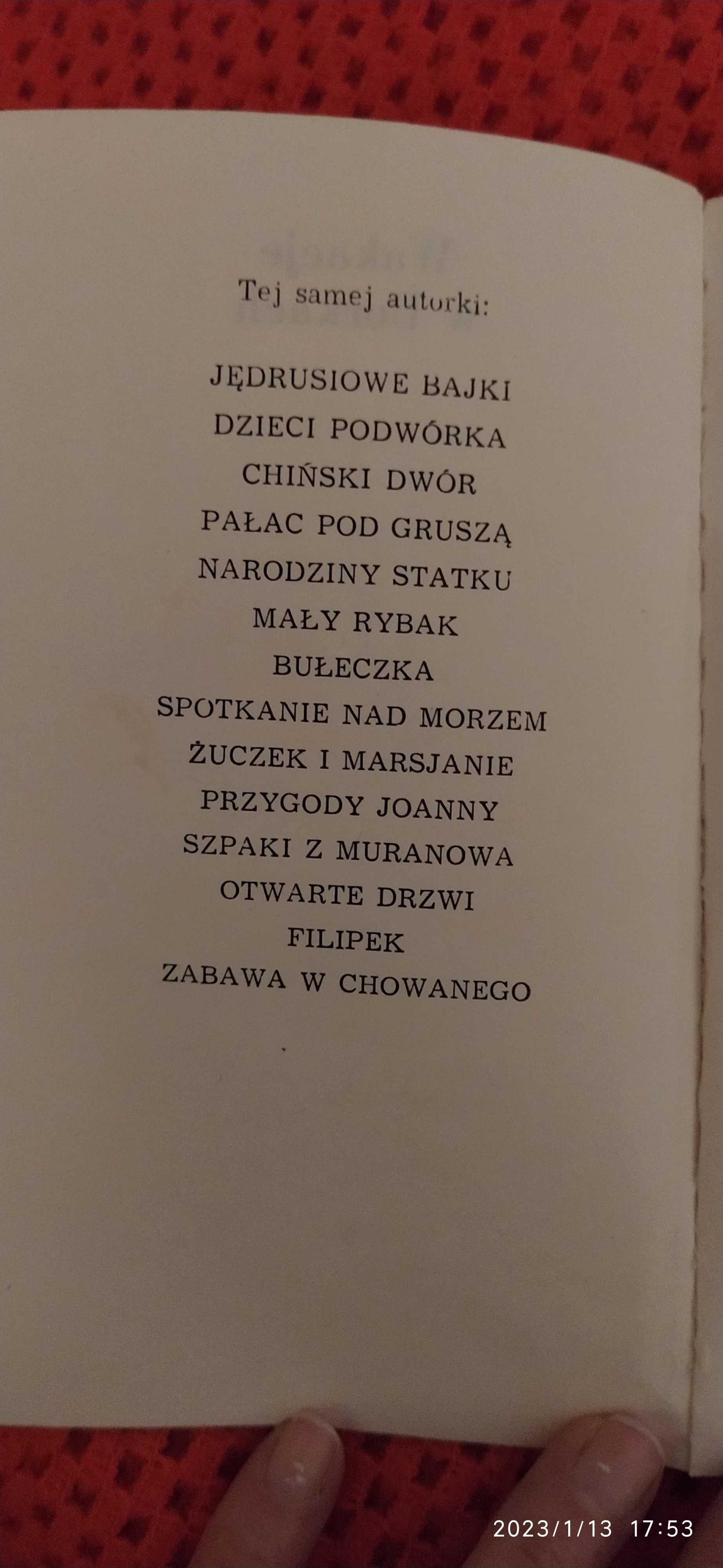 Wakacje w Borkach. Książka przygodowa dla dzieci i młodzieży.