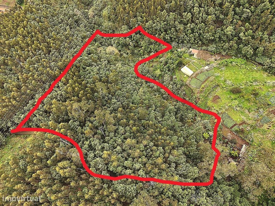 O Seu Refúgio de Sonho com Vista Deslumbrante sobre a Baía do Funchal!