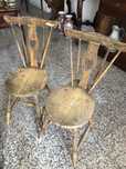 Cadeiras rabo bacalhau