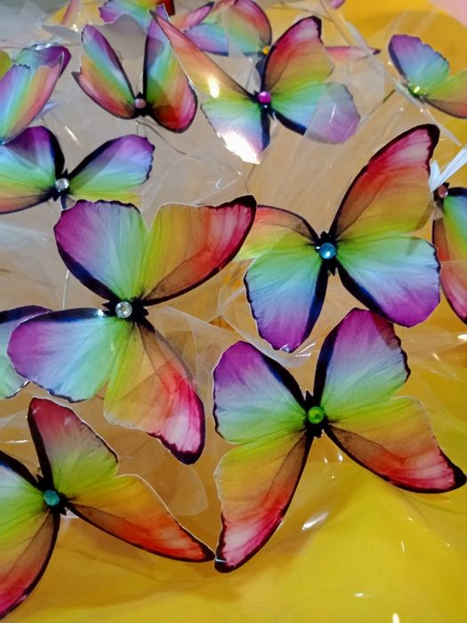 Заняття офлайн/онлайн з англійської мови для учнів 1-9 класів