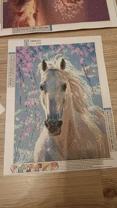 Diamon painting - cena do negocjacji