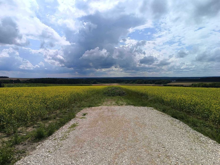 Sprzedam działki od 0,1501ha, Majdan Górny