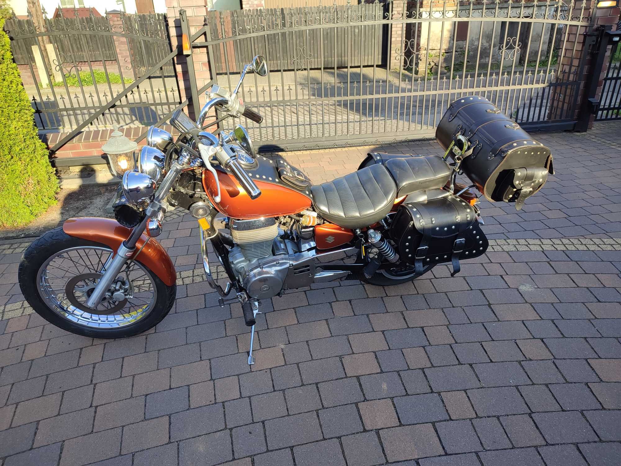Suzuki LS 650 SAVAGE
