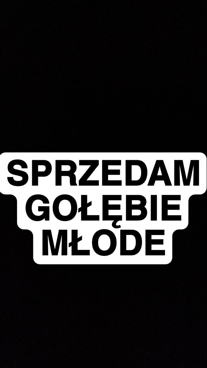 Gołębie młode z rozpłodu