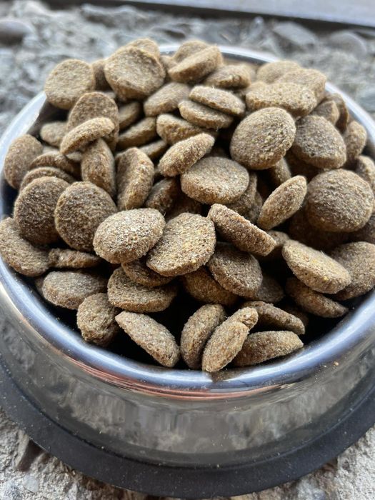 Сухий корм для собак Fincsi яловичина 10кг